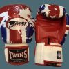 Boxing Gloves * | Special Offers Twins Special Boxing Gloves Fbgvl3-44Uk