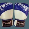 Boxing Gloves * | Clearance Sale Twins Special Boxing Gloves Bgvl10 Blue/White