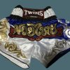 Muay Thai Shorts * | Limit Offer Twins Special Shorts Tbs-Sp