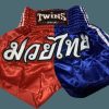 Muay Thai Shorts * | Limit Offer Twins Special Shorts Tbs-08 Blue