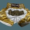 Muay Thai Shorts * | Fashionable Twins Special Shorts Tbs-Dragon4