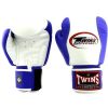 Boxing Gloves * | Lower Price Twins Special Boxing Gloves Bgvl7 White/Blue