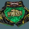 Muay Thai Shorts * | Special Offers Twins Special Shorts Tbs-Dragon3 Bk/Gn