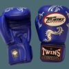 Boxing Gloves * | Promotions Twins Special Boxing Gloves Fbgvl3-30S Blue/Silver